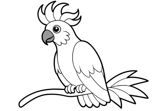 recommend clip art: cute line art cockatoo parrot cartoon on the tree vector illustration