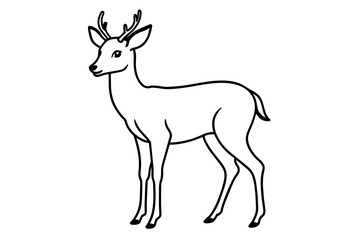 line art of a deer vector illustration