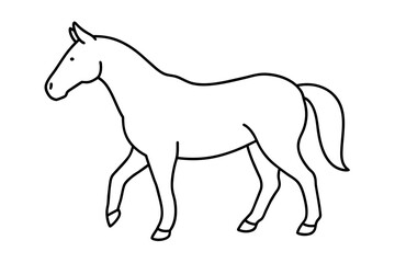 horse line art vector illustration 