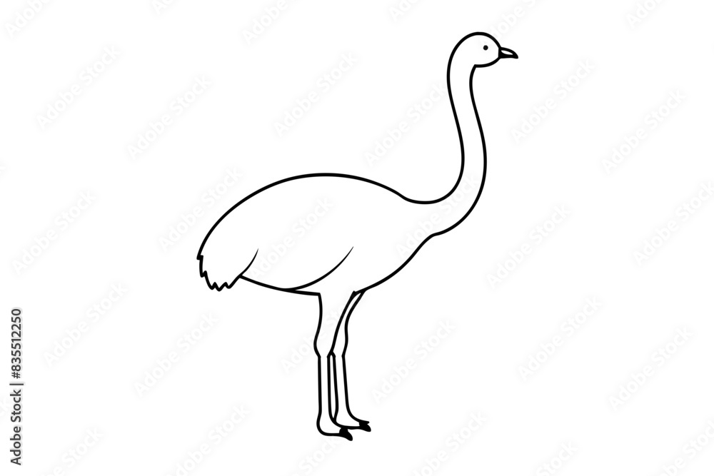 Poster ostrich vector illustration