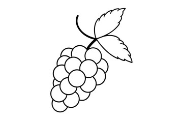 line art of grapes