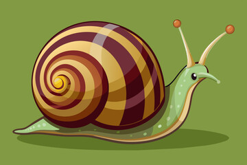 snail animal vector illustration