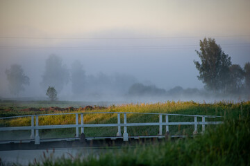 A serene landscape on a foggy morning with a wooden bridge, misty trees, and a calm atmosphere