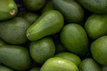 Freshly harvested avocados grouped together in a tight frame, showcasing their vibrant green color...