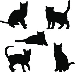Cat Silhouette Package High Quality Transparent Background