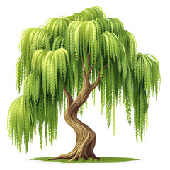 Vector illustration of a willow tree on a white background. Suitable for crafting and digital design projects.[A-0002]