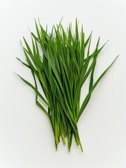 Fototapeta premium A close-up shot of a bunch of fresh cut green grass on a white surface