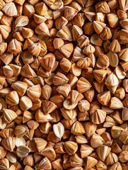 Close up shot of a pile of dried nuts, ideal for use in food or nature themed images