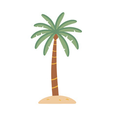 palm tree on the beach
