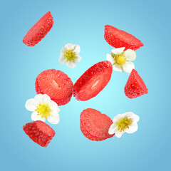 Ripe strawberries and flowers in air on light blue background