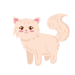 cute domestic cat pet