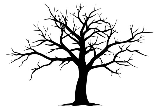 a dead tree silhouette vector illustration