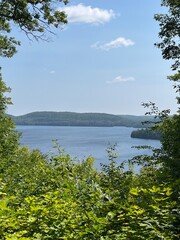 beautiful lake in a forest