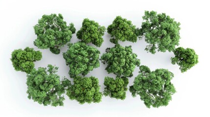 Obraz premium Aerial View of Lush Green Trees, Generative AI