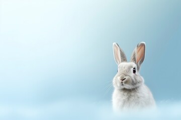 Obraz premium white rabbit on blue background, generative ai