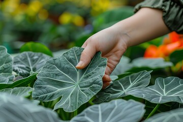 A close up of a person's hand touching a leaf