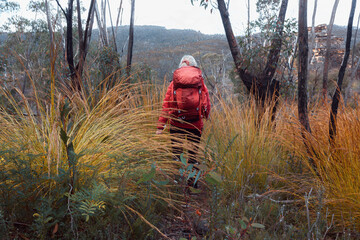 Female hiker walking through thick scrub in the mountains of Australia
