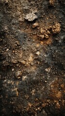 A close up of a rocky, dirt ground with a few rocks scattered around
