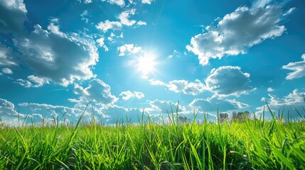 Grassy field under a sky filled with fluffy clouds