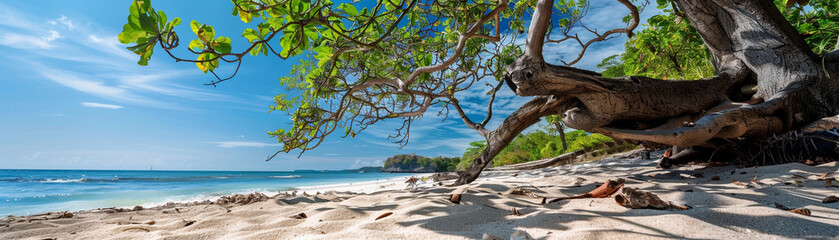 Obraz premium beach, sand with a big tree branch, and some green tropical leaves. Blue sky background