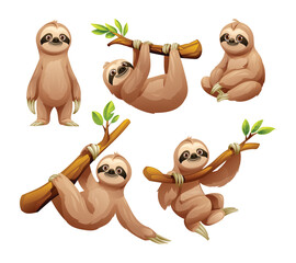 Set of sloth in different poses. Vector cartoon illustration © YG Studio