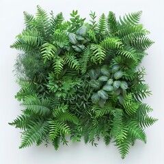 Lush Green Bouquet of Vines and Ferns Viewed from Above on White Background. Ultra-Realistic UHD Botanical Arrangement Highlighting Natural Beauty and Vivid Detail.