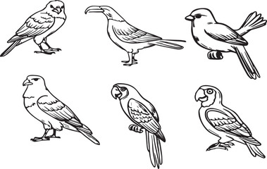 Hand drawn bird outline vector  illustration
