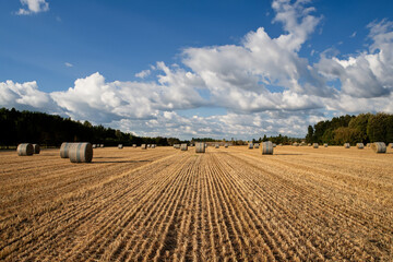 Hay bales in farmland, picturesque agricultural landscape, rural tranquility