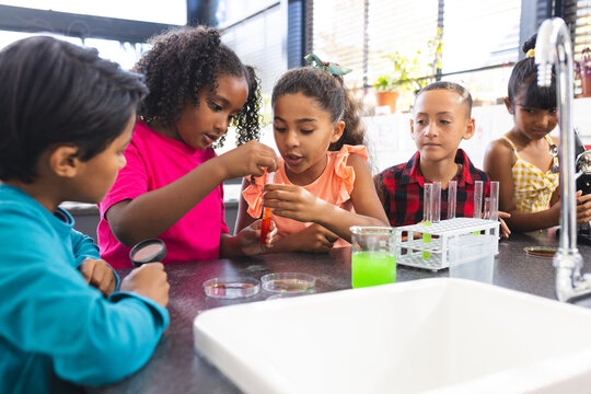 A diverse group of young students focuses on petri dishes in school