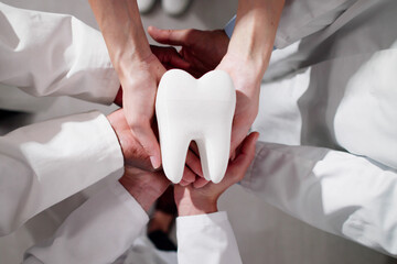 Group Of Dentists Holding Tooth