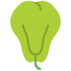 chayote flat icon
