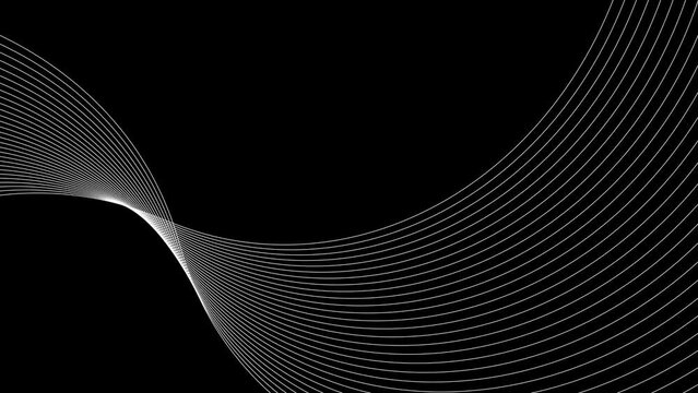  Abstract white color swirl line movement animation. Pattern wavy line on black background. texture wave and technology background concept