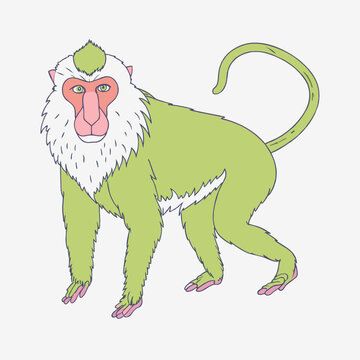recommend clip art: a line art of Pastel colored BABOON
