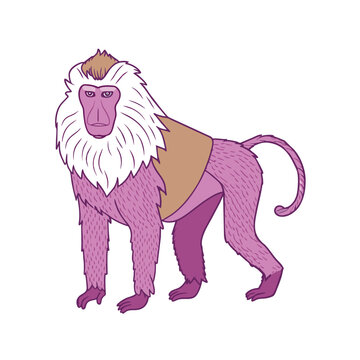 recommend clip art: a line art of Pastel colored BABOON