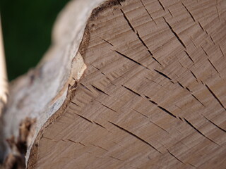 Wood texture background 