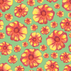 Marigold Flower Seamless Pattern. Hand Drawn Floral Digital Paper on Green Background.