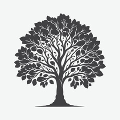 Naklejka premium Print Majestic Silhouette of the Butternut Tree, A Timeless Natural Beauty