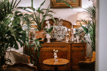 Riga, Latvia, - August 26, 2023 - Elegant interior with vintage wooden furniture, lush green plants, chandeliers, and decorative items, creating a sophisticated and cozy atmosphere.