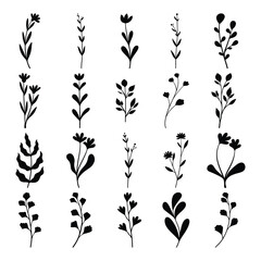 Fototapeta premium Set of plants and flower silhouette