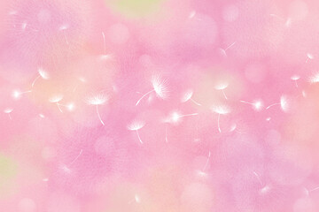 風に舞うタンポポの綿毛、ピンク