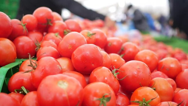 fresh tomato selling at local shop 