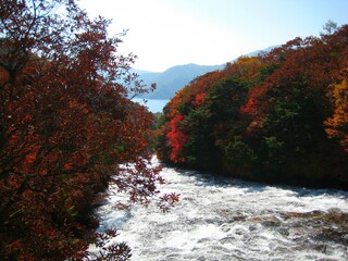 Beautiful nature color of Ryuzu Waterfall in autumn in Nikko, Japan