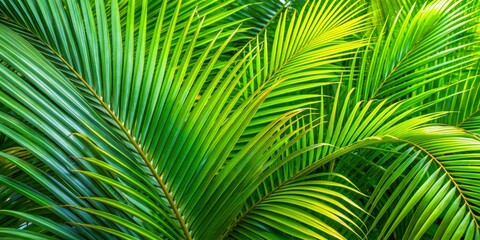Fototapeta premium Close up of a palm tree on a green background. Generated by AI
