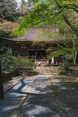 奈良 室生寺 新緑に包まれた国宝本堂