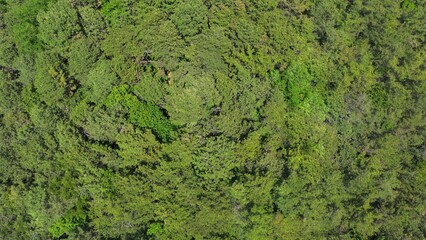 Landscape photo on a sunny day