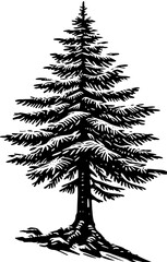 Eastern Hemlock Tree icon 12