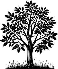 Obraz premium Eastern Black Walnut Tree icon