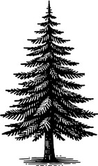 Douglas Fir Tree icon 5