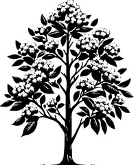 Crape Myrtle Tree icon 6