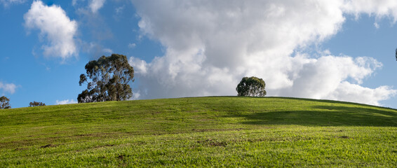 Panoramic background texture of a green lawn on a hill against the sky with dramatic clouds, with...